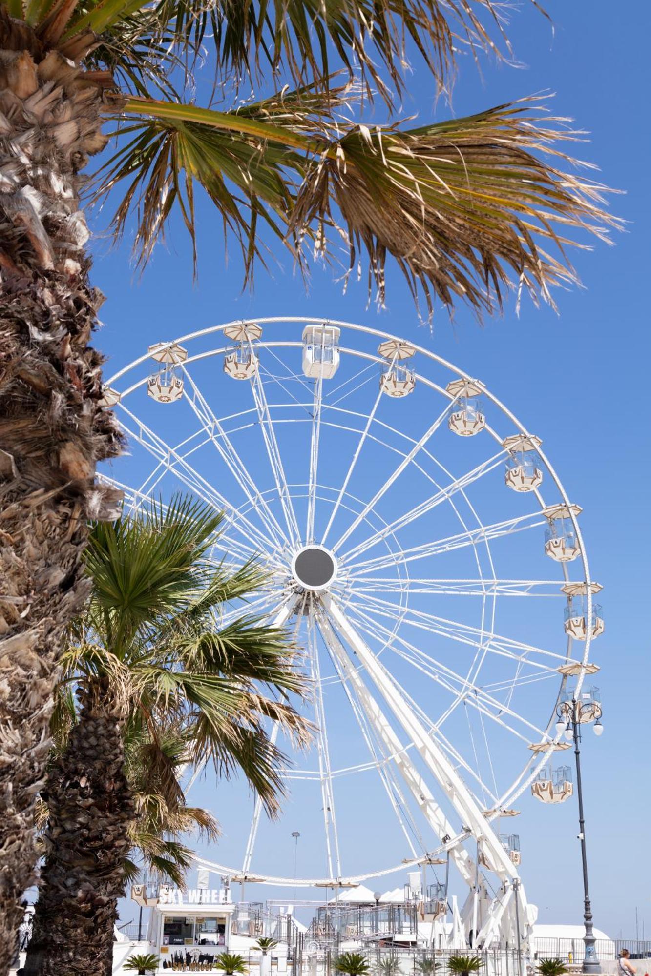 Brasilia Cesenatico